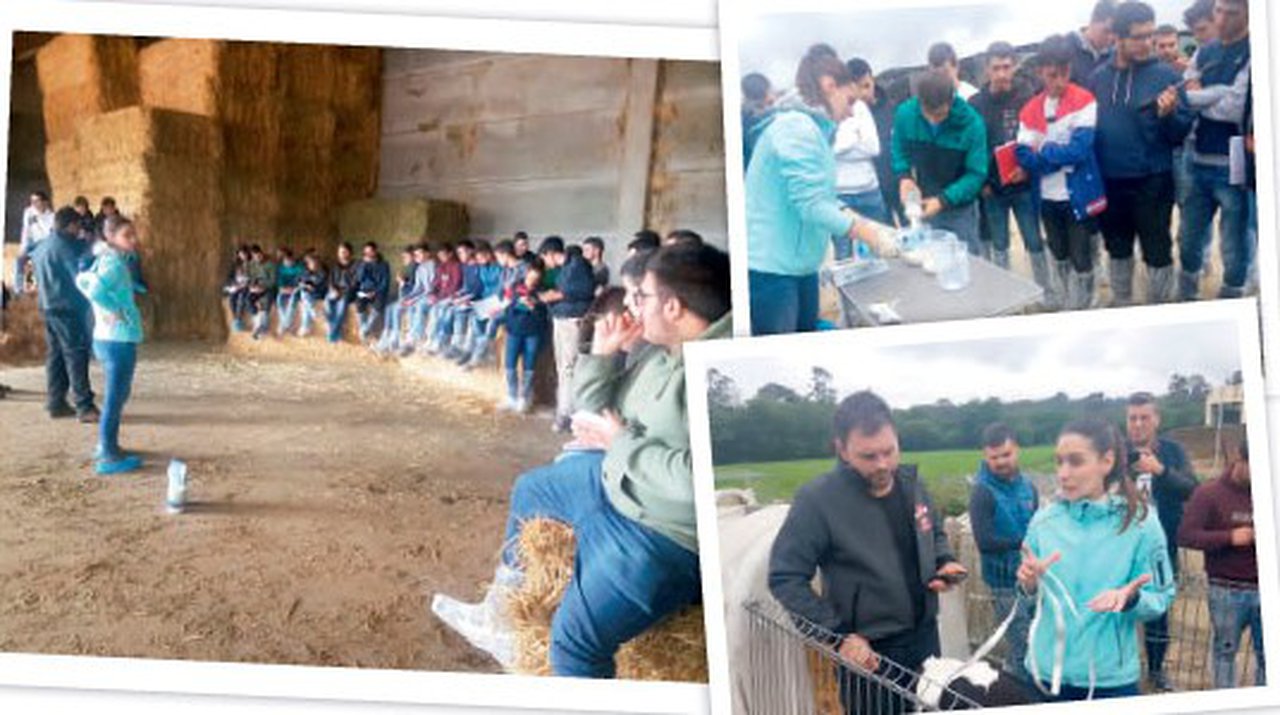 Avanzando en recría con Fonteboa