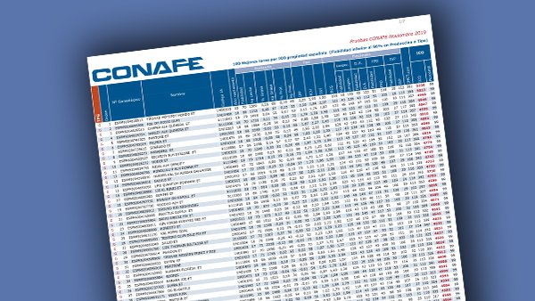 El top 100 de los toros genómicos de España
