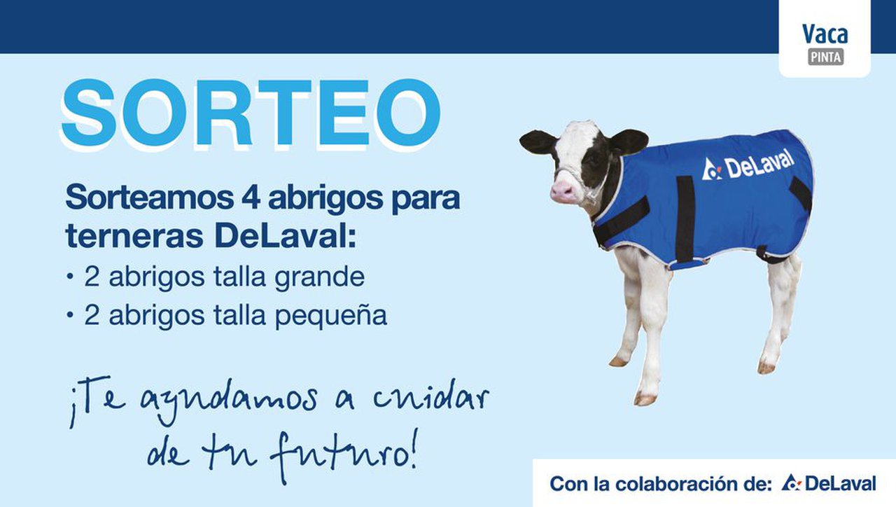 Sorteamos catro abrigos para xatas entre os participantes nesta enquisa