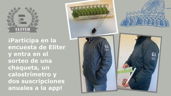¡Sorteamos dos suscripciones anuales a la app de Eliter!