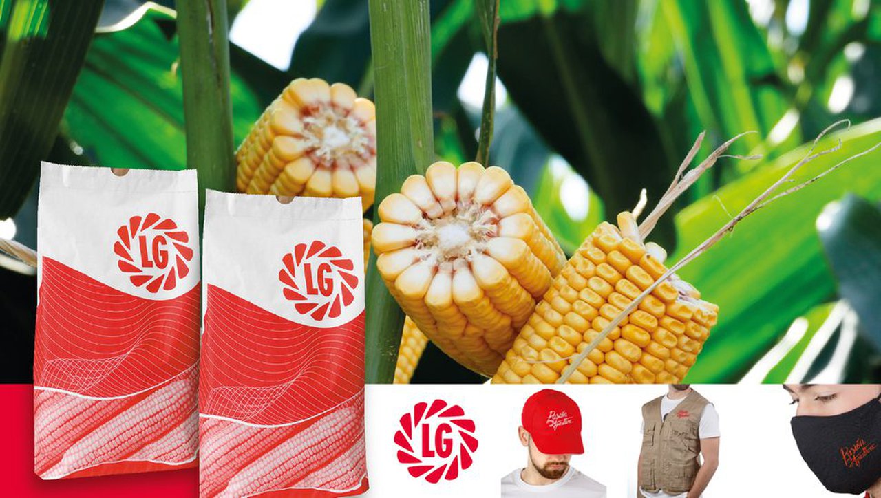 ¡Regalamos maíz para sembrar una hectárea de terreo en nuestro sorteo!