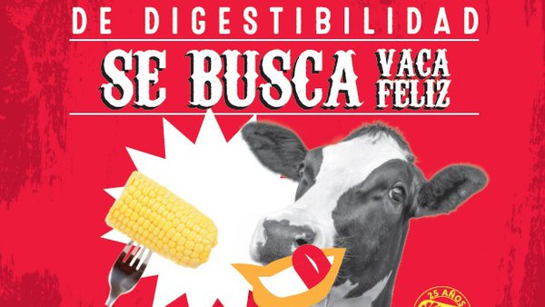 Semillas LG lanza un concurso para encontrar el silo más digestible