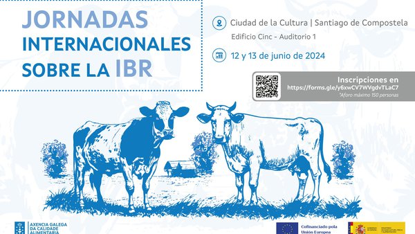 Santiago acogerá en junio las Jornadas Internacionales sobre la IBR