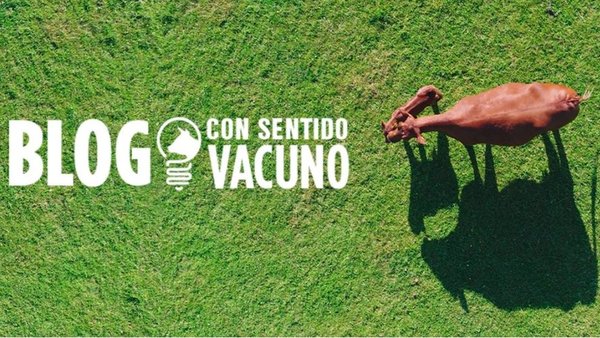 “Con Sentido Vacuno”, o novo blogue sobre o sector de Zoetis