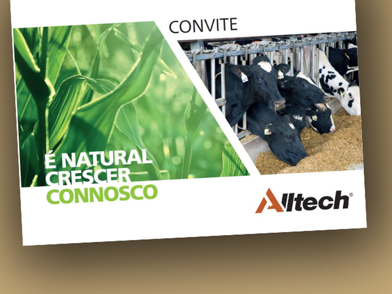 Día de puertas abiertas Alltech en Póvoa de Varzim