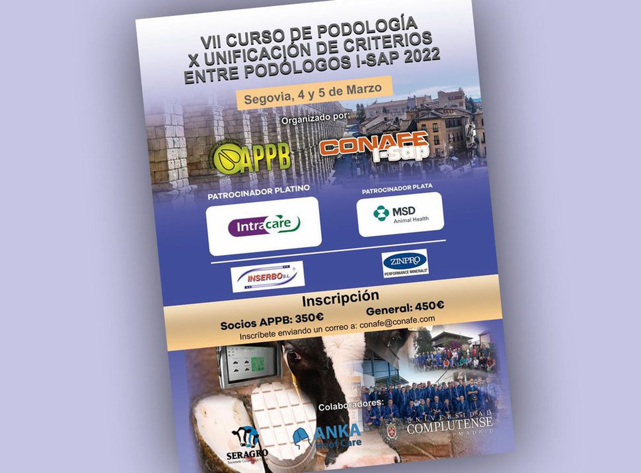 Segovia acogerá en marzo la X Unificación de criterios entre podólogos