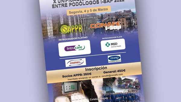 Segovia acogerá en marzo la X Unificación de criterios entre podólogos