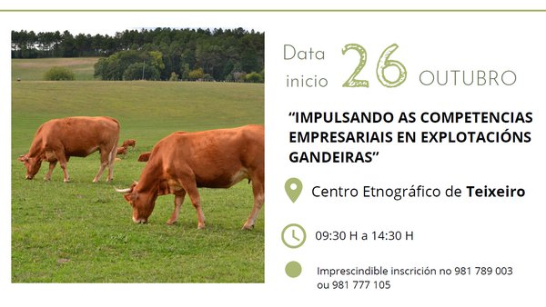 Curso gratuito sobre competencias empresariales en explotaciones ganaderas en Curtis