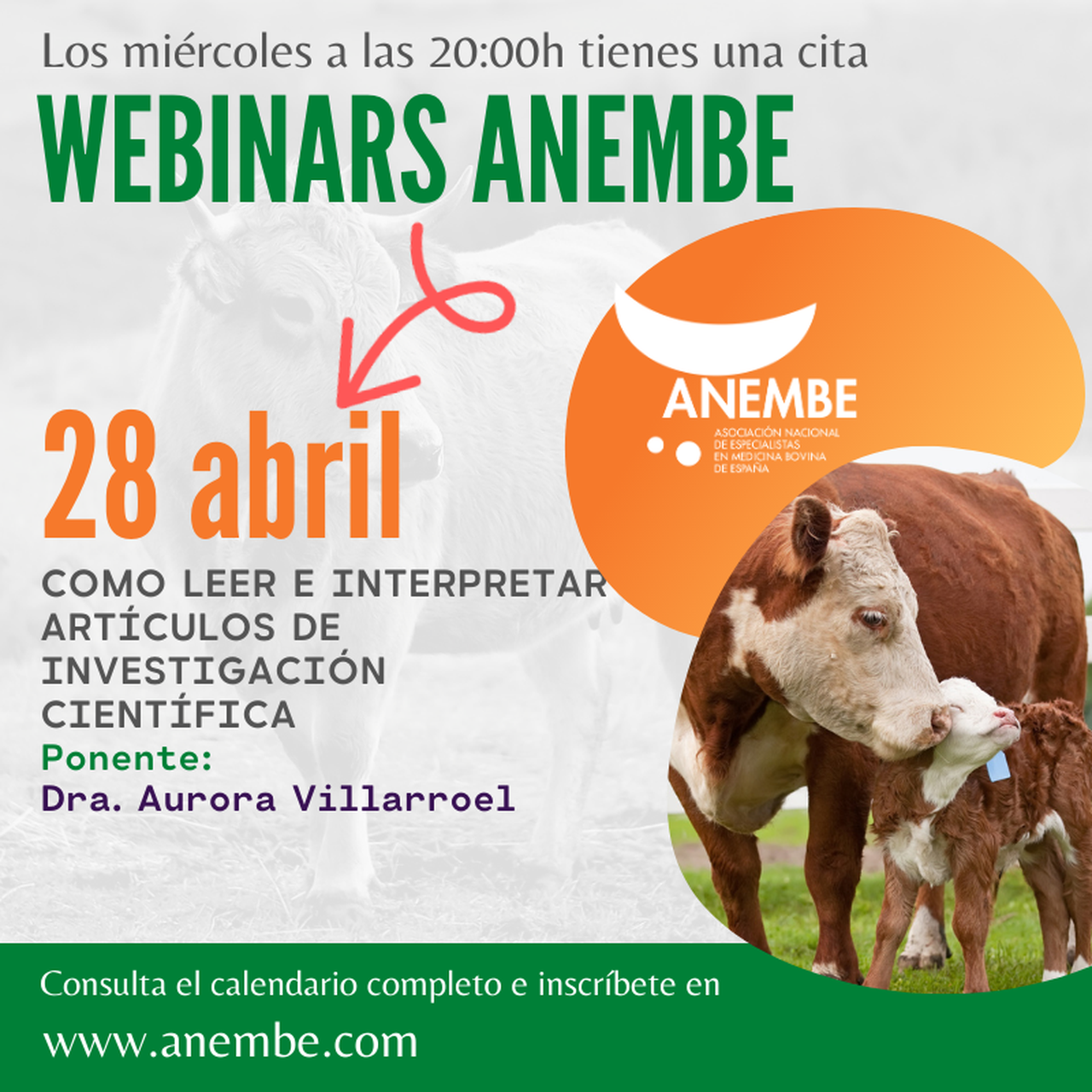 Anembe celebra un webinar sobre investigación científica el 28 de abril