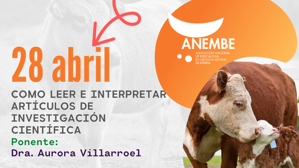 Anembe celebra un webinar sobre investigación científica el 28 de abril