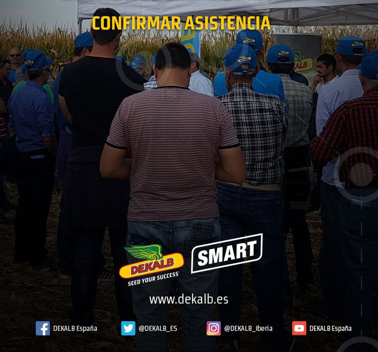 Dekalb celebra la semana que viene dos jornadas de campo
