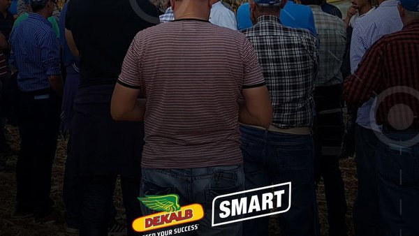 Dekalb celebra a semana que vén dúas xornadas de campo