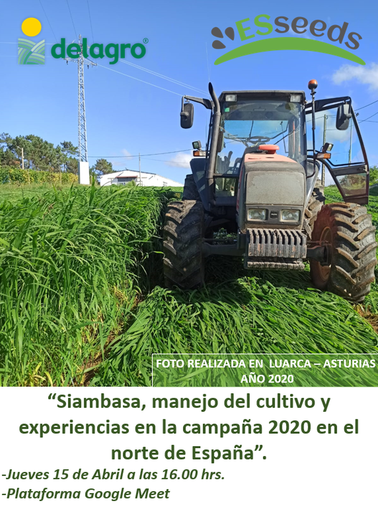 Delagro organiza unha xornada formativa sobre o pasto Siambasa