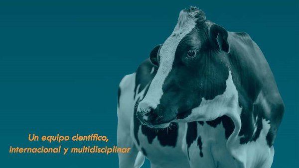 Dellait chega a España para maximizar a eficiencia técnica e económica das ganderías leiteiras