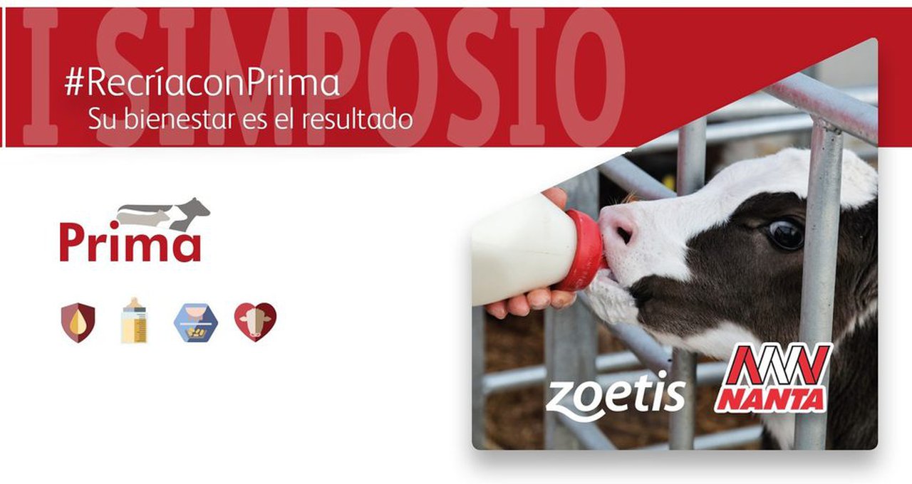 Nanta celebrará el jueves 28 de marzo su I Simposio Recría Con Prima