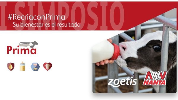 El I Simposio Recría con Prima se retransmitirá mañana en directo