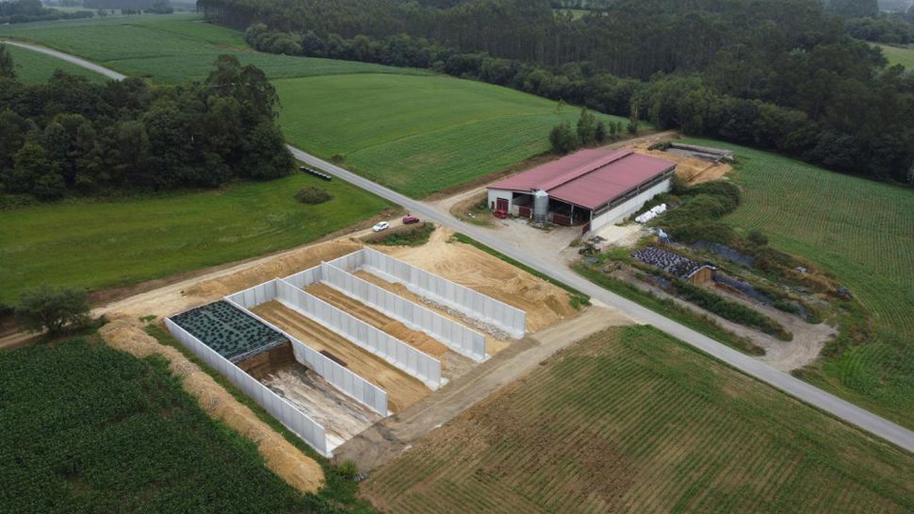 La Xunta aprueba las ayudas de 2020 para planes de mejora e incorporación de jóvenes a la actividad agraria