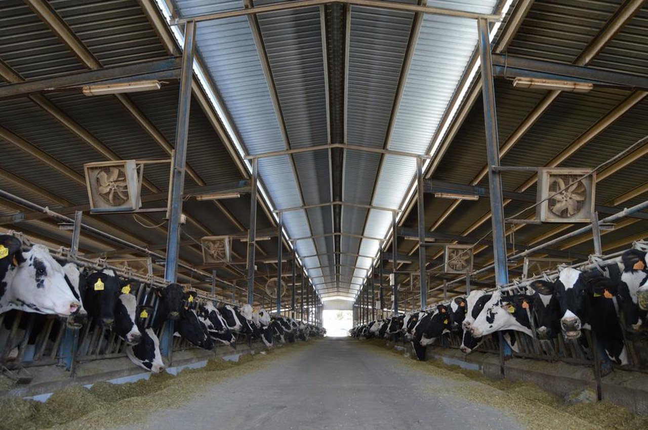 Novas axudas para a creación e desenvolvemento de explotacións e a incorporación de mozos ao agro