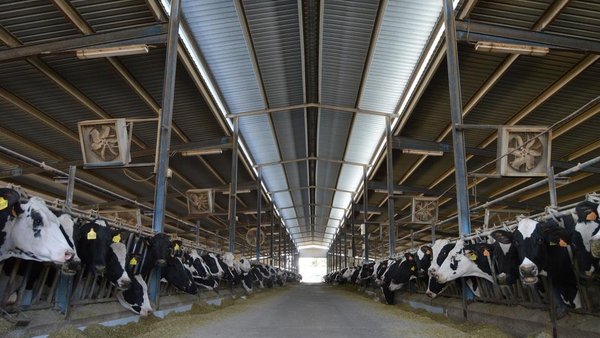 Novas axudas para a creación e desenvolvemento de explotacións e a incorporación de mozos ao agro