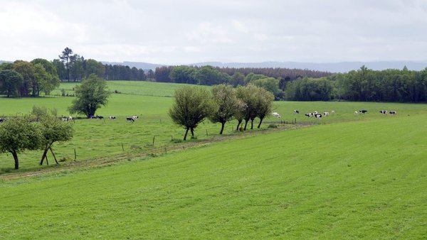 O prazo de axudas da PAC, aberto ata o 30 de abril