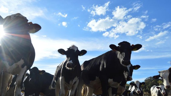 Nueve comunidades amplían el plazo de solicitud de la PAC