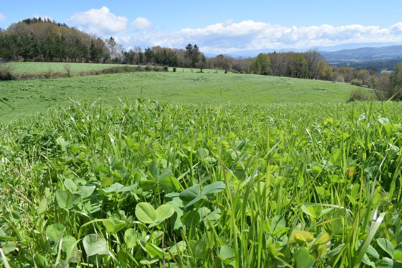 La producción agraria asegurada aumenta un 19,2 % en 2020