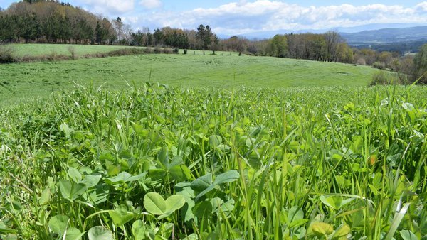 A produción agraria asegurada aumenta un 19,2 % en 2020