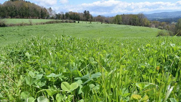 15 de novembro, último día para aplicar o 5 % de bonificación en seguros de cultivos herbáceos
