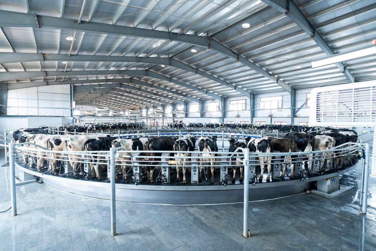 DeLaval lanza la rotativa E500, su modelo más revolucionario