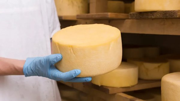 Eilza promueve dos certificados de profesionalidad para la elaboración de productos lácteos