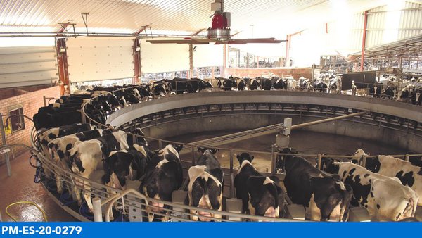 A loita contra o estrés sempre se paga cando vai calor