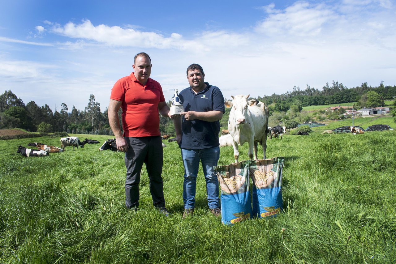 Ganadería Fandiño Rial SC recibe el premio del concurso "Outra Vaca no Millo"