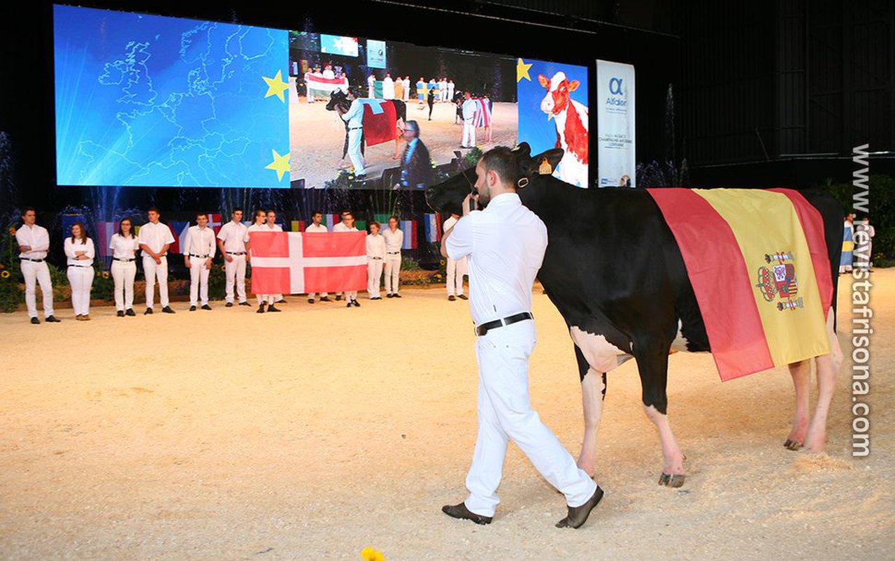Publicada la selección española de vacas que competirá en la Confrontación Europea de Raza Holstein