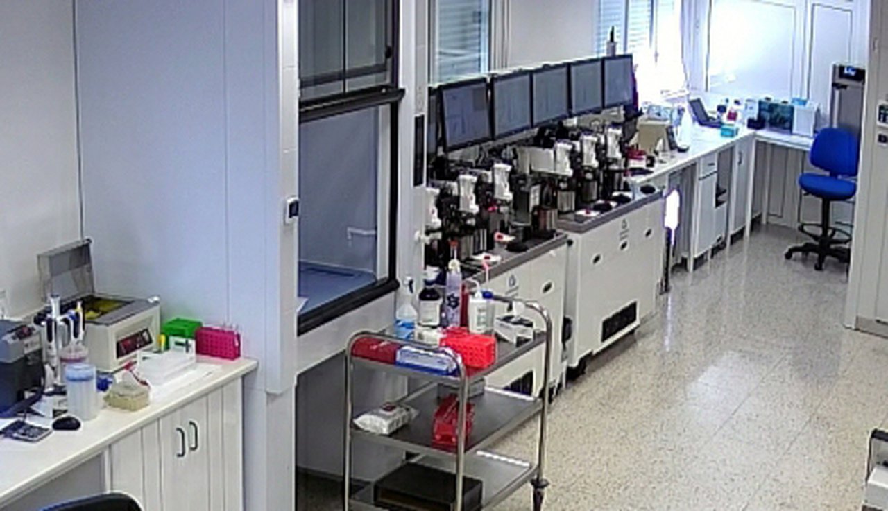 Xenética Fontao producirá entre 30.000 y 40.000 dosis de semen sexado a lo largo de este año