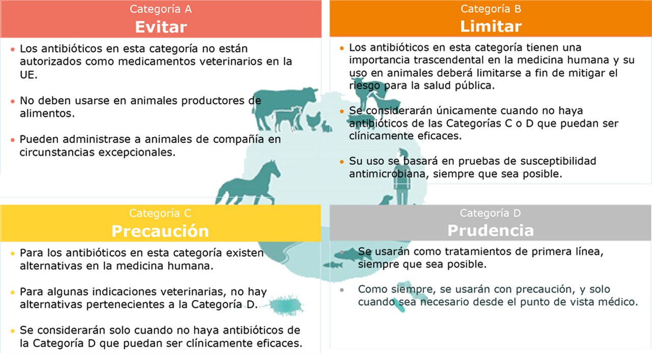 ¿Qué cambios incorpora la nueva normativa sobre medicamentos veterinarios?