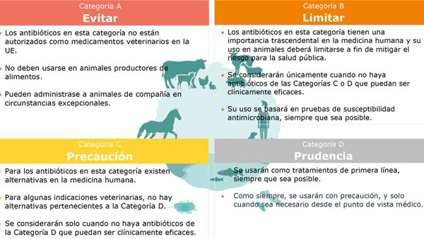 ¿Qué cambios incorpora la nueva normativa sobre medicamentos veterinarios?