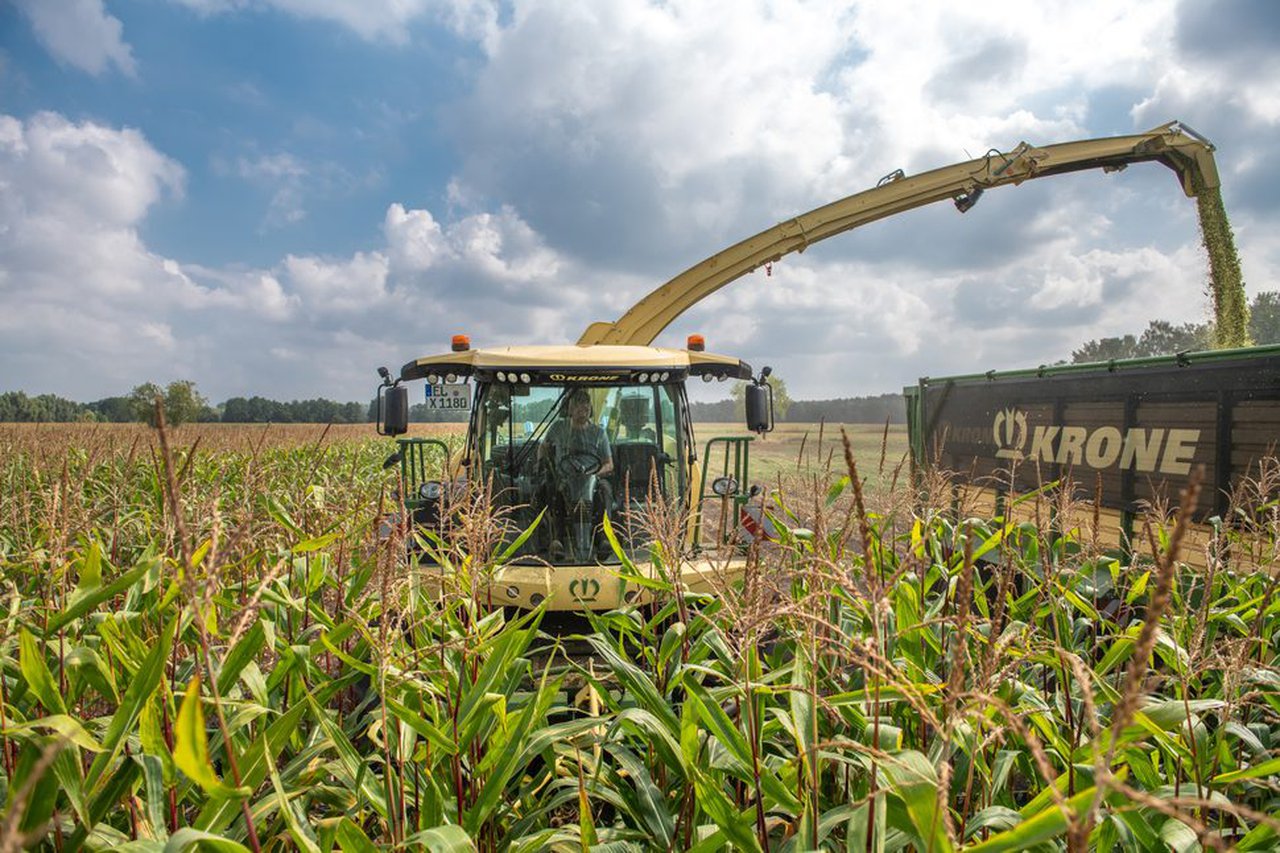 Farming Agrícola pecha 2018 cun incremento do 25 % na súa facturación