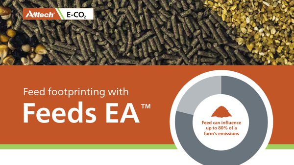 Alltech E-CO2 lanza o modelo FEEDS EA™ para axudar a fabricantes de pensos a reducir a súa pegada de carbono