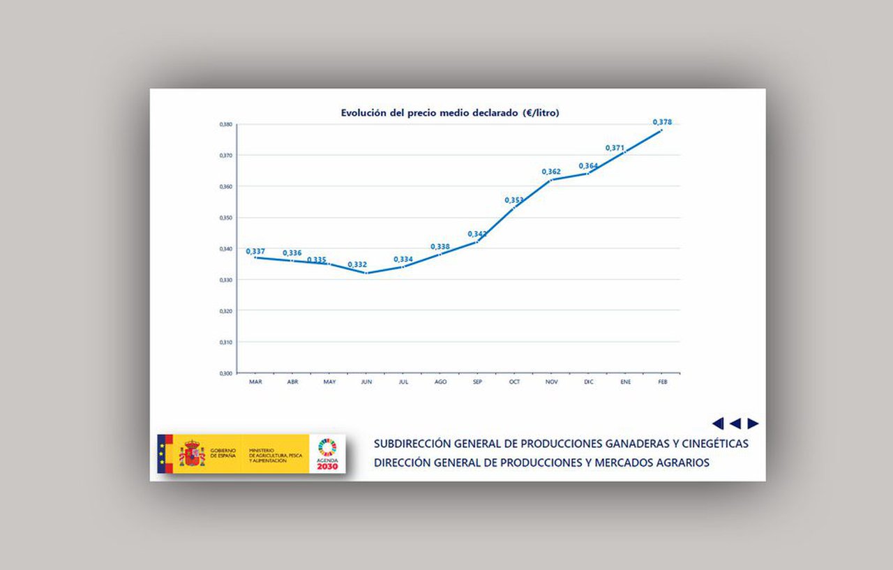 Escasa subida en el precio medio de la leche que no supera los 38 céntimos/litro