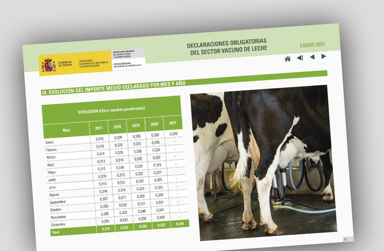 Enero mantiene el precio medio de la leche tras la subida de los últimos meses