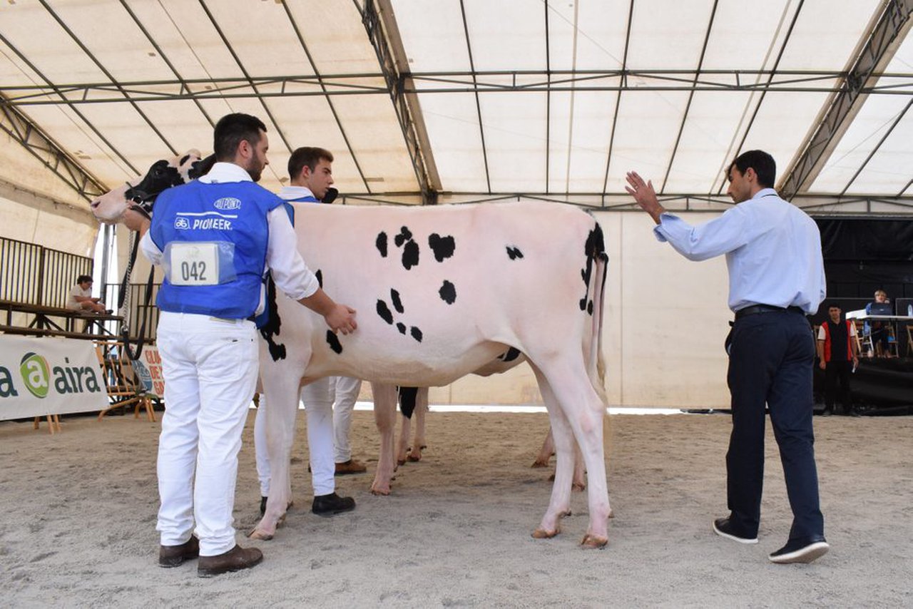 Comenzamos la retransmisión del concurso frisón de Feiradeza