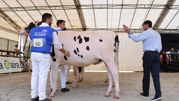 Comenzamos la retransmisión del concurso frisón de Feiradeza