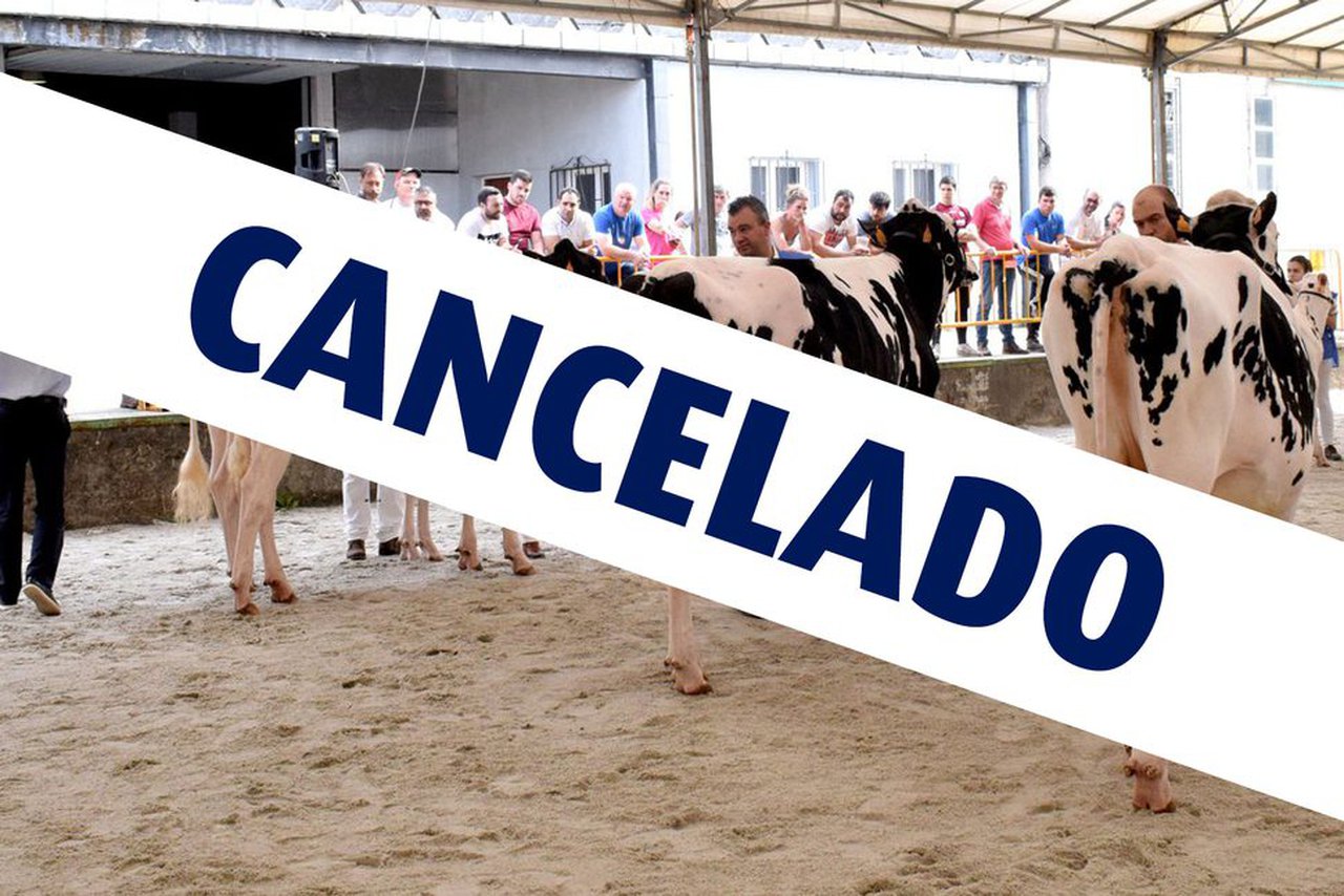 Suspendida la celebración de Feiradeza