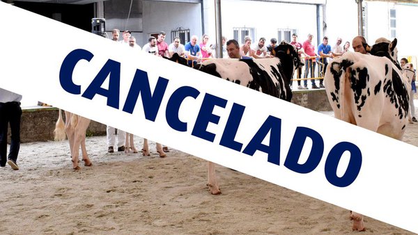 Suspendida la celebración de Feiradeza