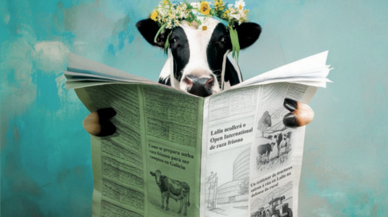 Programación de la 39.ª edición de Feiradeza