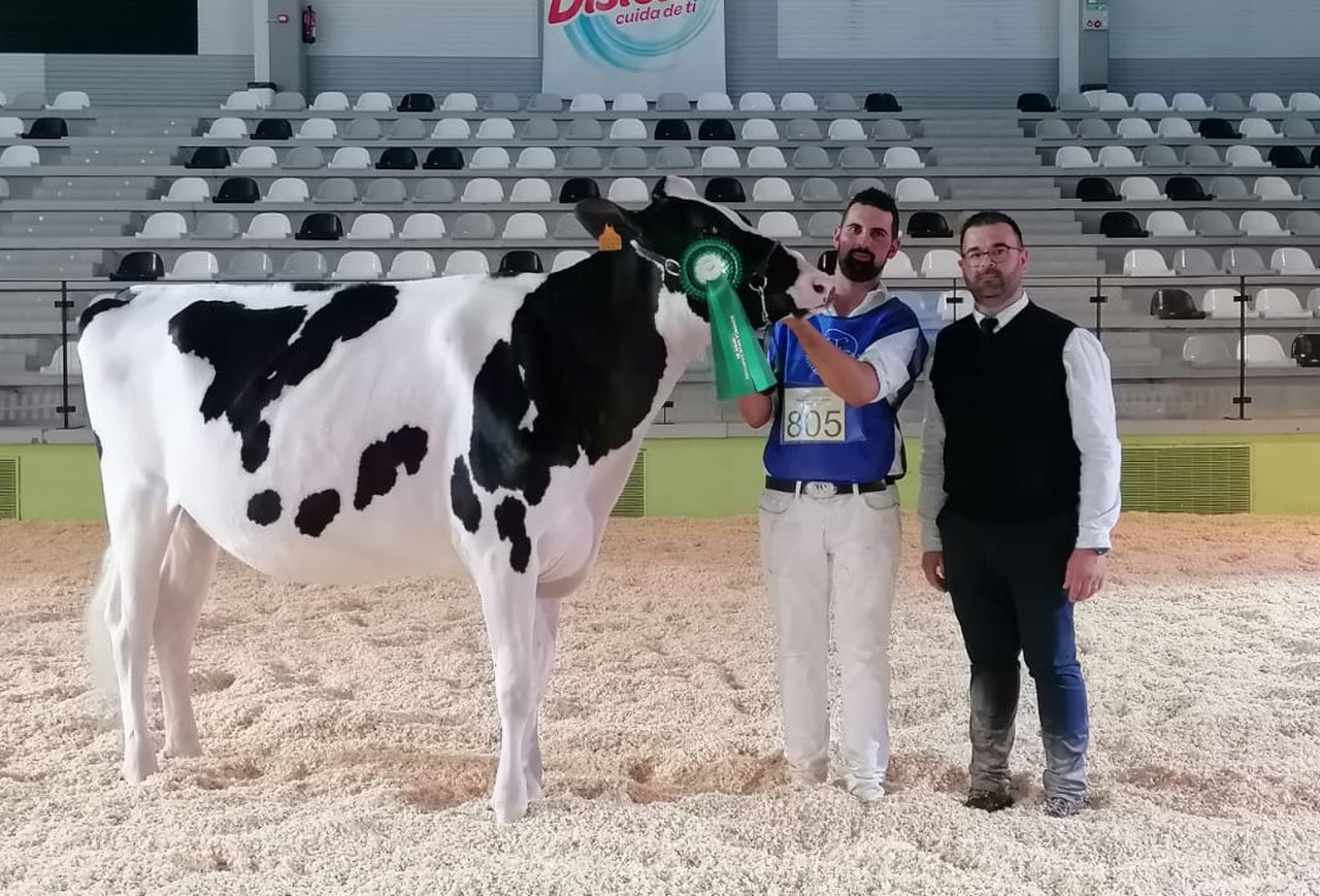 Rey 1085 Moovin Soly ET, nueva novilla gran campeona de Feiradeza