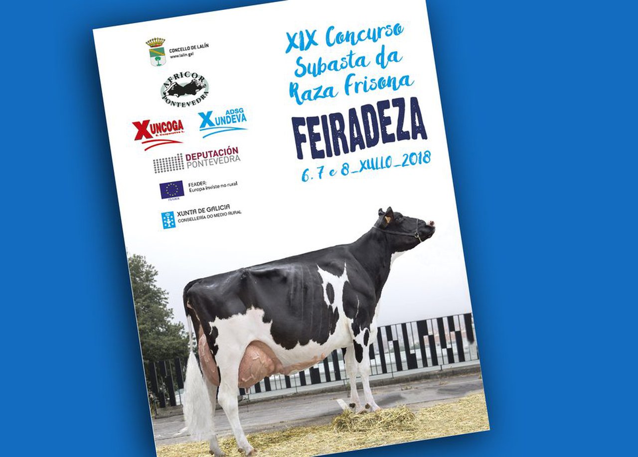 Se acerca una nueva edición de Feiradeza