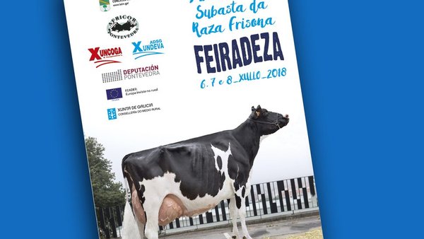Se acerca una nueva edición de Feiradeza