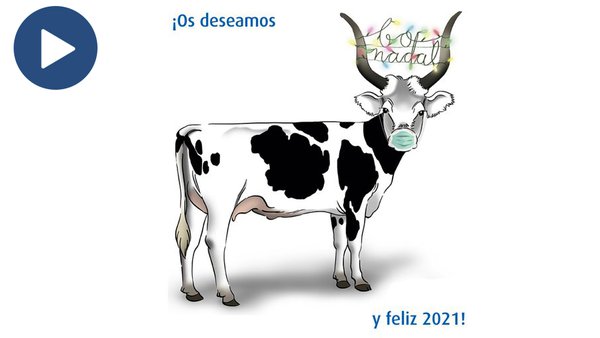 ¡El equipo Transmedia os desea unas felices fiestas!