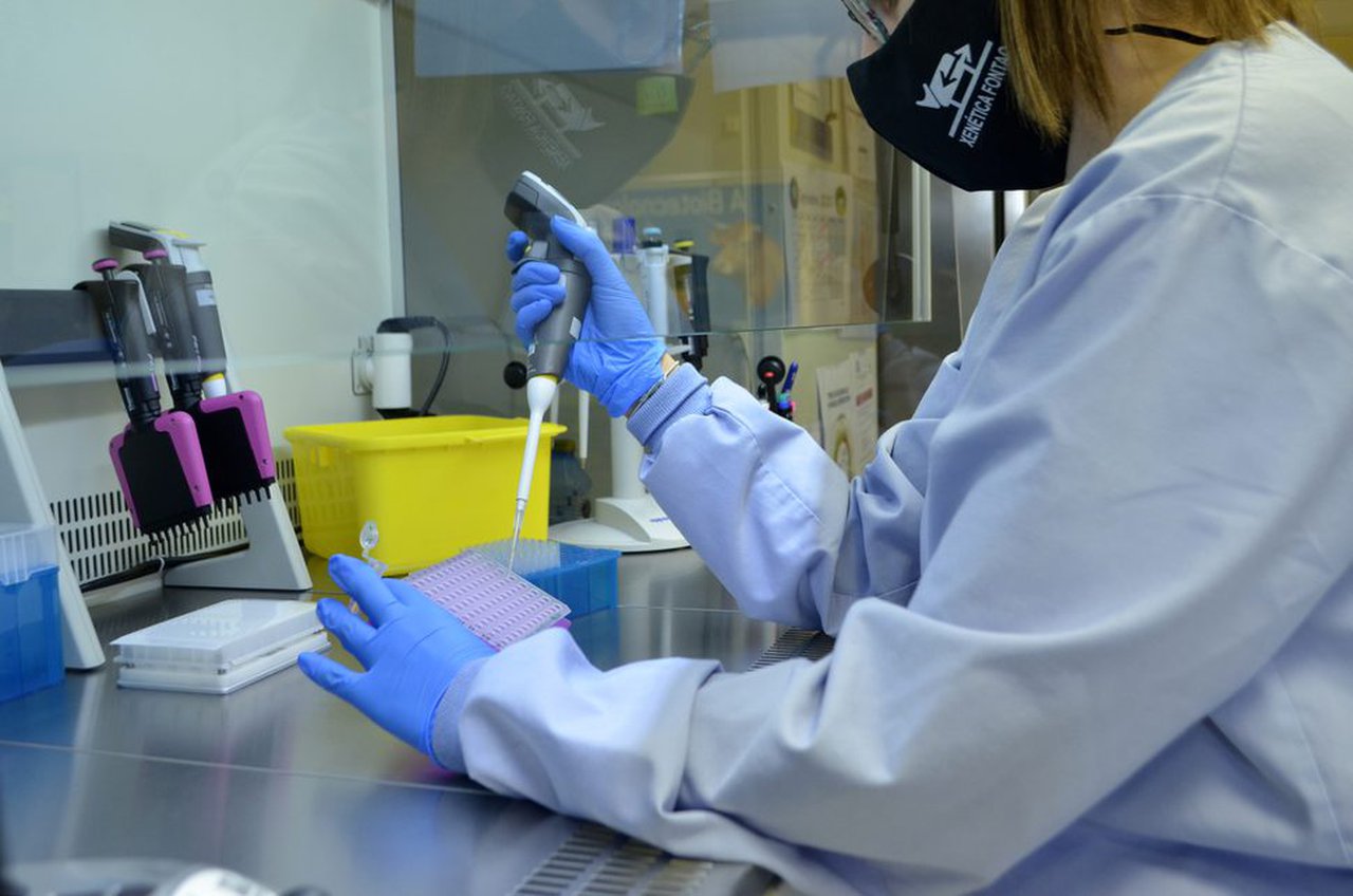 Xenética Fontao producirá en exclusiva semen sexado en España